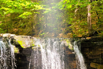 Ricketts Glen PA