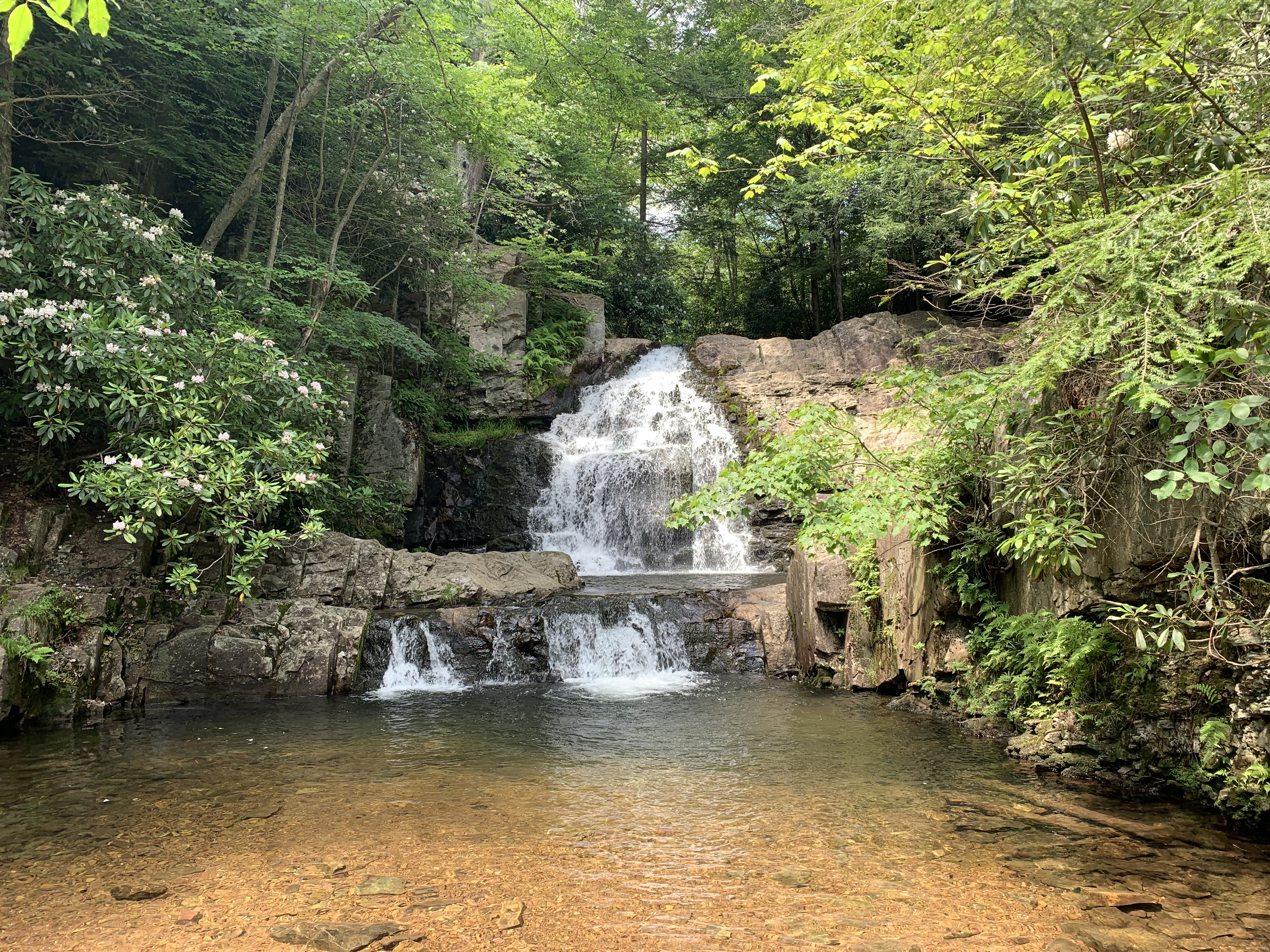 Hawk Falls surrounded by green forest photographed at approximately 1/132 second
