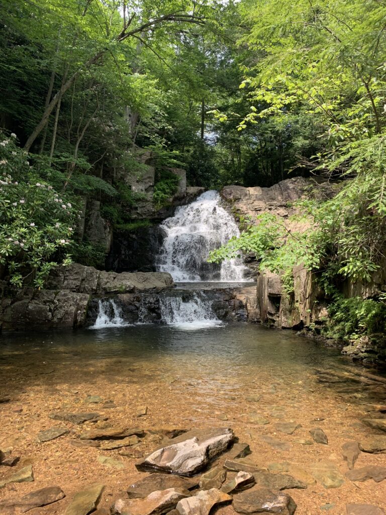 Waterfall Photography Shutter Speeds: What My Field Photos Show