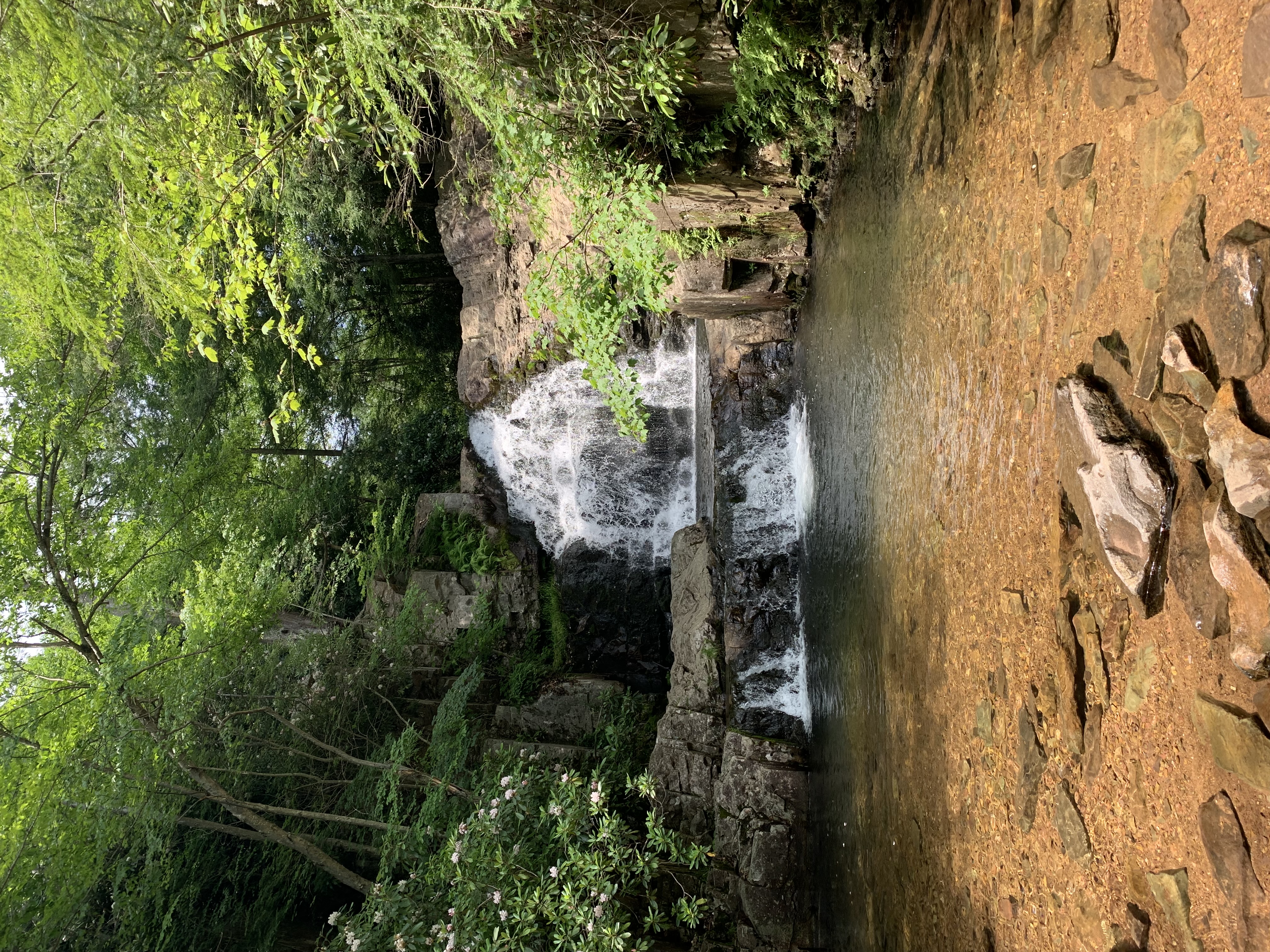 Hawk Falls surrounded by green forest photographed at approximately 1/267 second