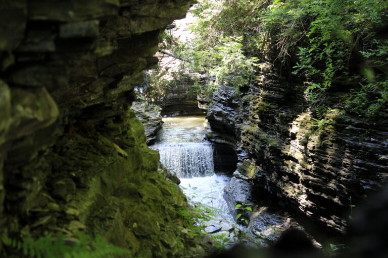 What One Lens Taught Me on a Watkins Glen Photo Walk